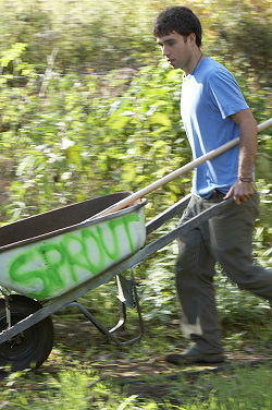 Making the Grade: The College´s Green Report Card
