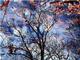 "Reflection" by Jackie Zerio: 2nd Place - Teen.<em><span style=font-size:9pt;>&nbsp;Credit: Jackie Zerio</span></em>