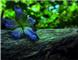 "Untitled" by Christina Konstantidis: 2nd Place - Children<em><span style=font-size:9pt;>&nbsp;Credit: Christina Konstantinidis</span></em>