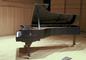 A gift by Nancy Marshall Athey '72 and her husband, Preston Athey, will elevate Connecticut College to distinction as an "All-Steinway School." The first of the new Steinways were delivered in July - this one to Evans Hall.<em><span style=font-size:9pt;>&nbsp;Credit: Photo by Bob MacDonnell</span></em>