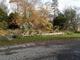 Another tree fell on the north end of campus.<em><span style=font-size:9pt;>&nbsp;Credit: Bettina Weiss '15</span></em>
