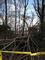 On a 750-acre Arboretum campus, you'd expect a lot of downed limbs during a hurricane. Luckily, everyone at Connecticut College is safe and there was no major damage.<em><span style=font-size:9pt;>&nbsp;Credit: Bettina Weiss '15</span></em>