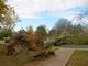 Hurricane Sandy brought down a large tree near the Horizon Admissions Building, but damage to the campus overall was minimal.
