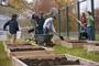 Students prepare beds for a new and expanded Sprout organic garden behind the College Center at Crozier-Williams. Funding for the garden was provided by gifts from the Bennack-Polan Foundation and alumni/ae.
