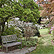 Photo of a bench in the Connecticut College Arboretum.