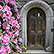 A photo of a door on campus bordered by pink flowers.