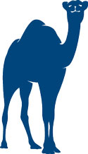 image of the blue Connecticut College vintage Camel 