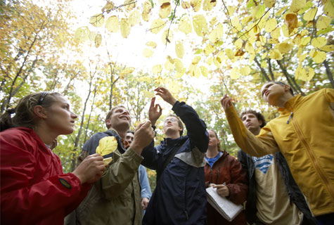 Students researching in the Arboretum
