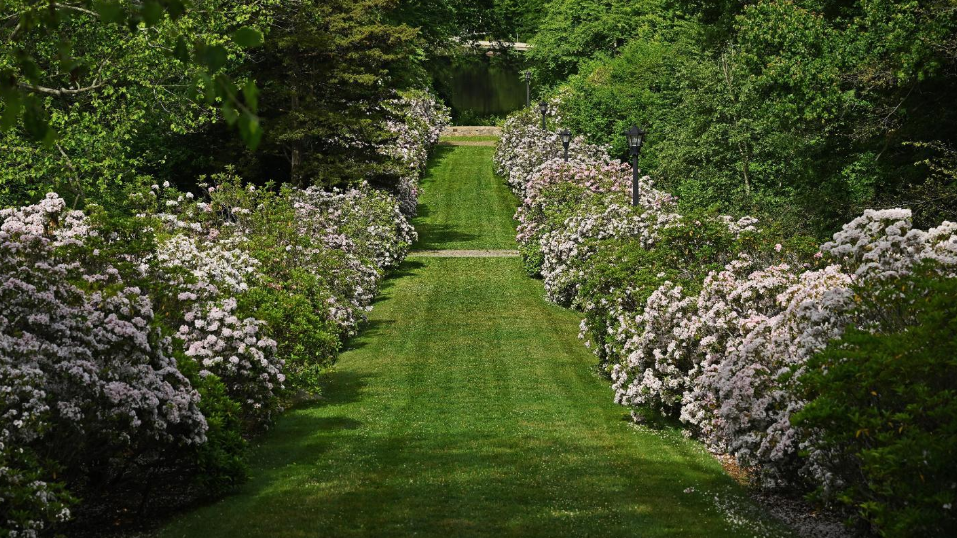 The Arboretum in full bloom.