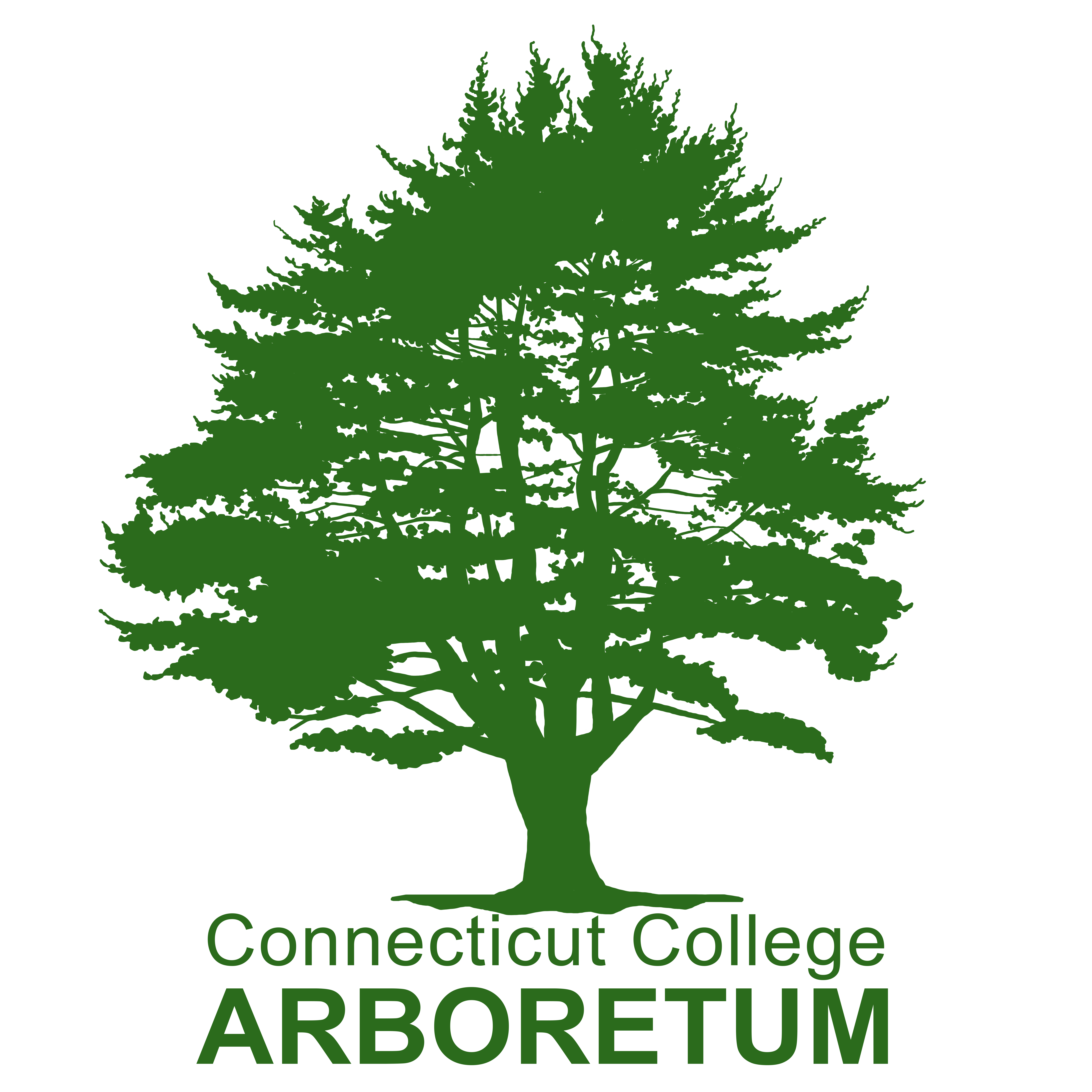 Connecticut College Arboretum Logo
