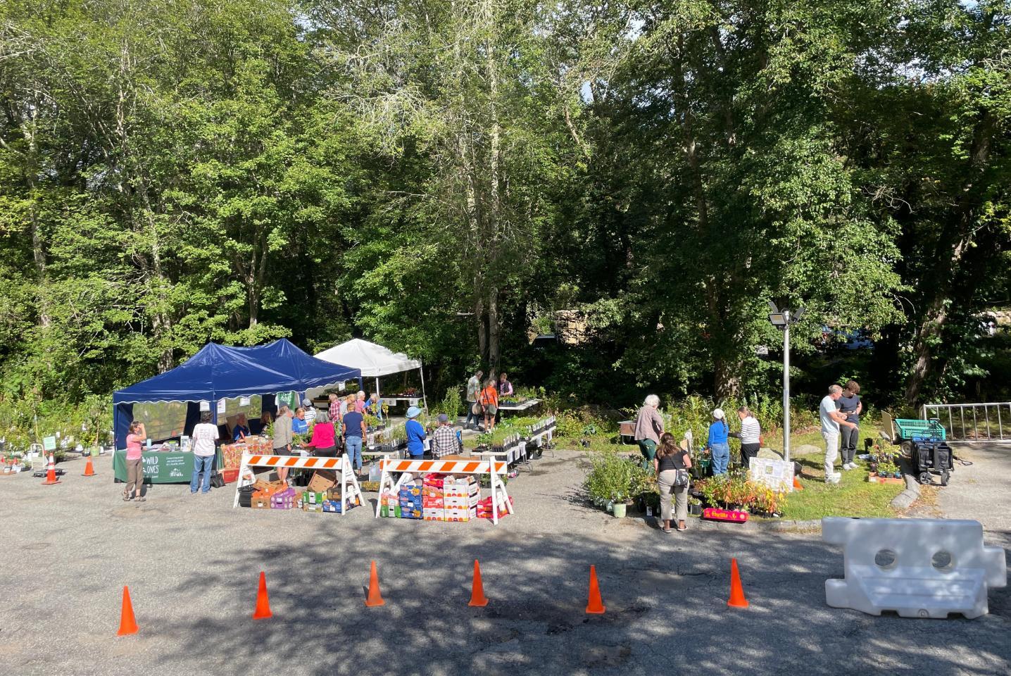2025 Plant Sale Volunteers