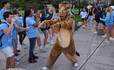 Orientation the camel leading the charge.
