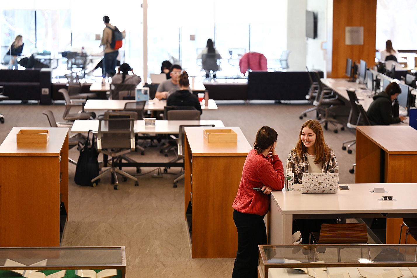 Students studying inside library