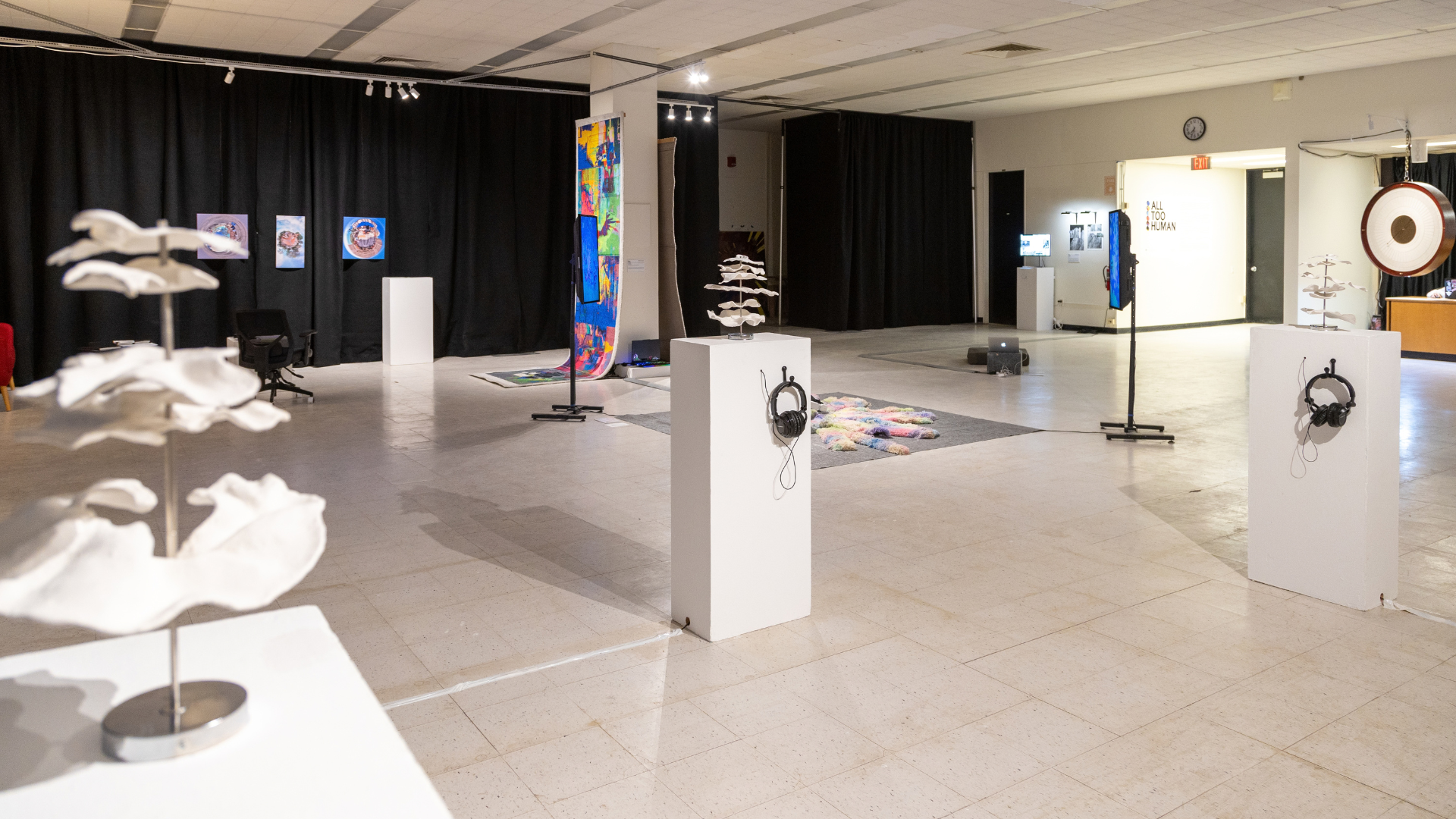 Ammerman 2026 Symposium Exhibition Night