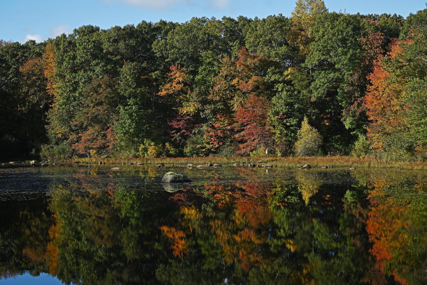 Arboretum pond with fall foliage
