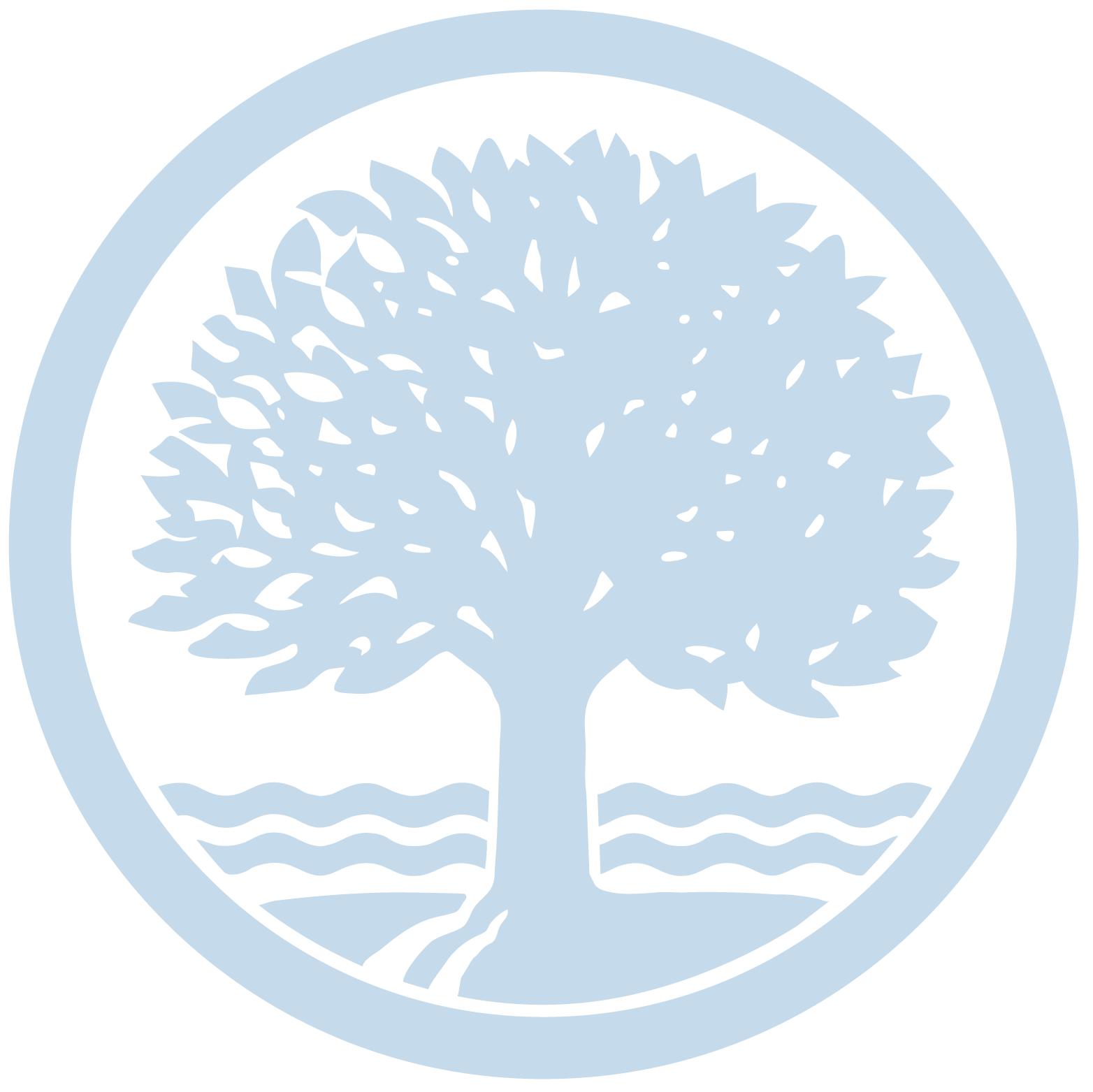 Connecticut College logo