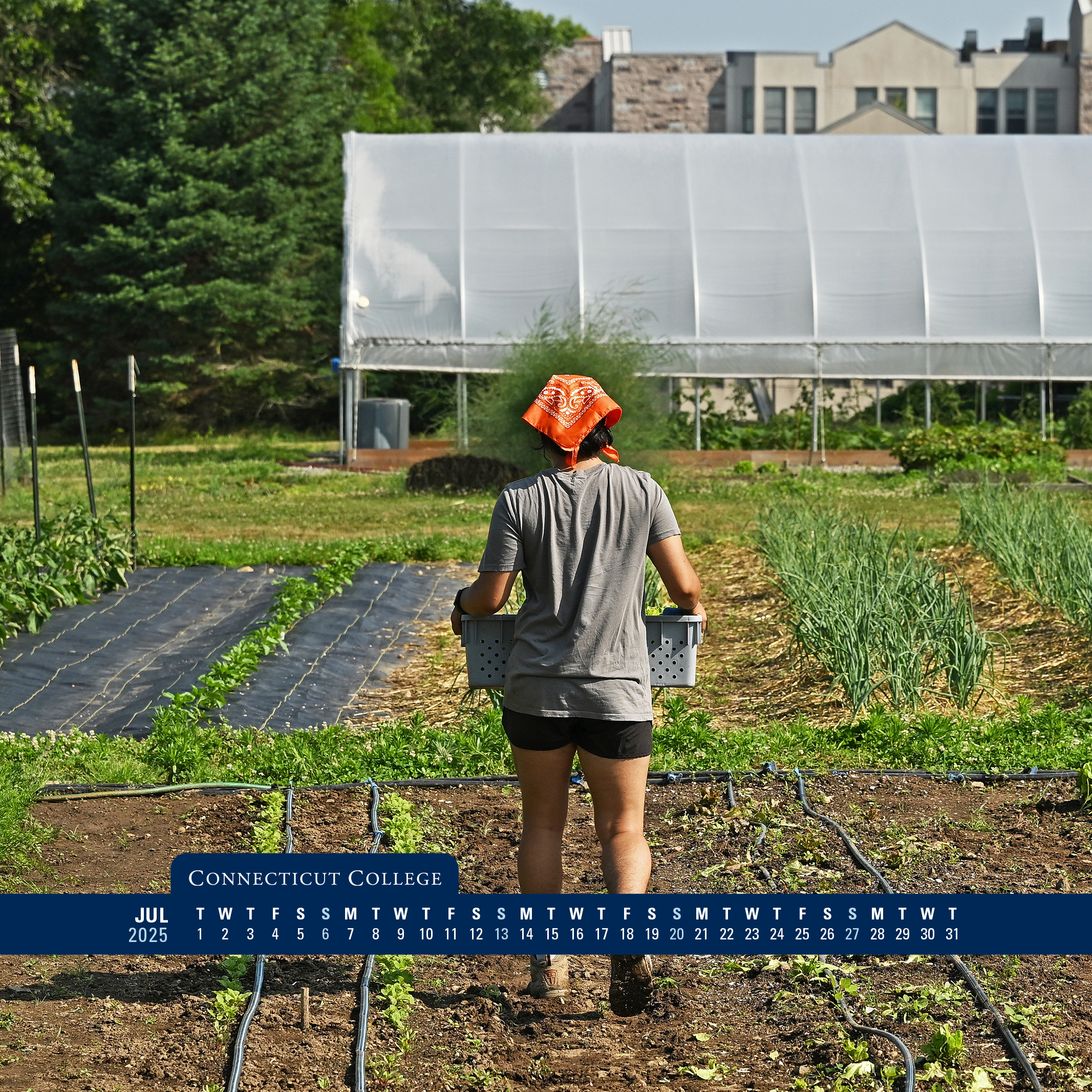 A student working in the Sprout Garden.