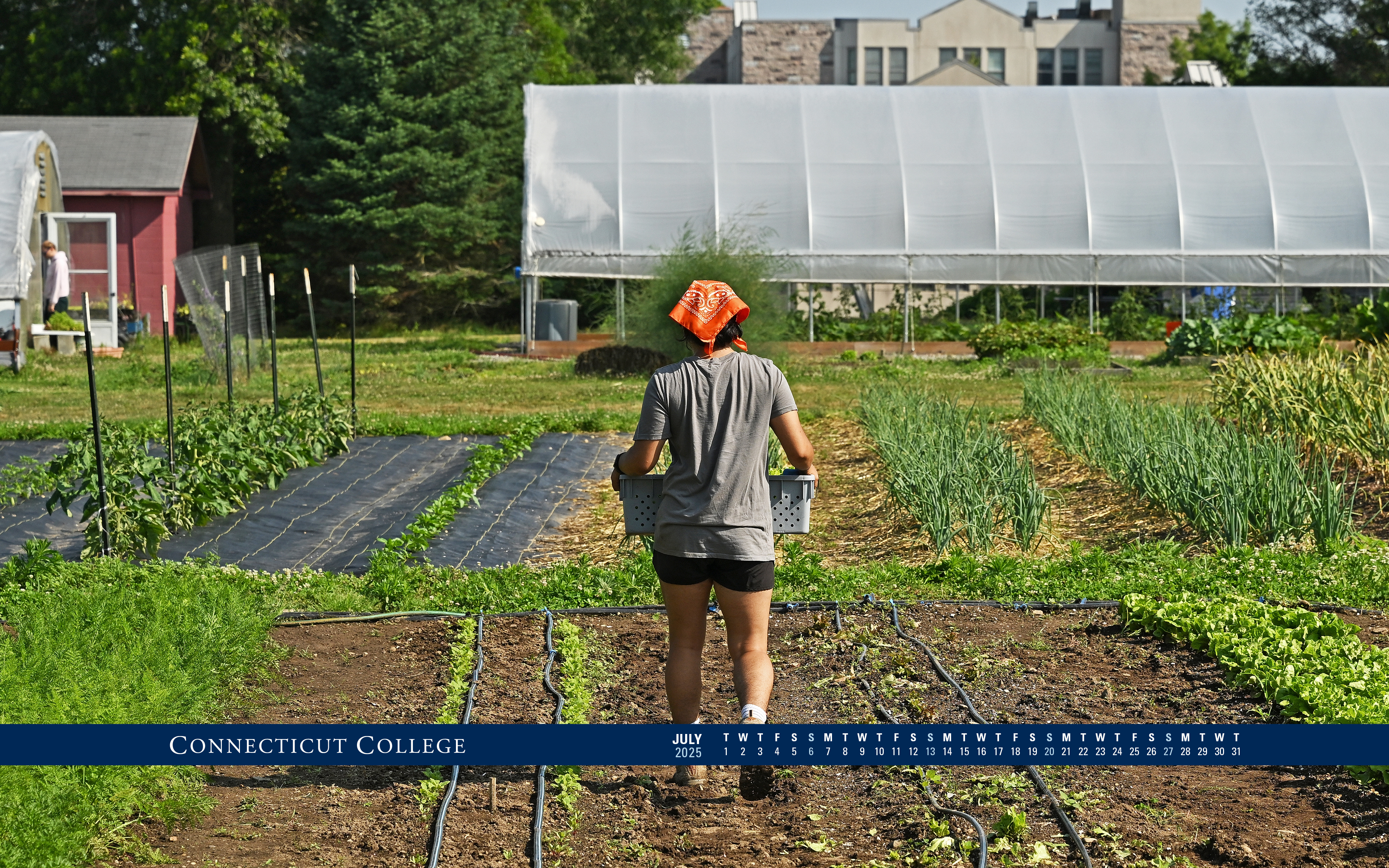 A student working in the Sprout Garden.