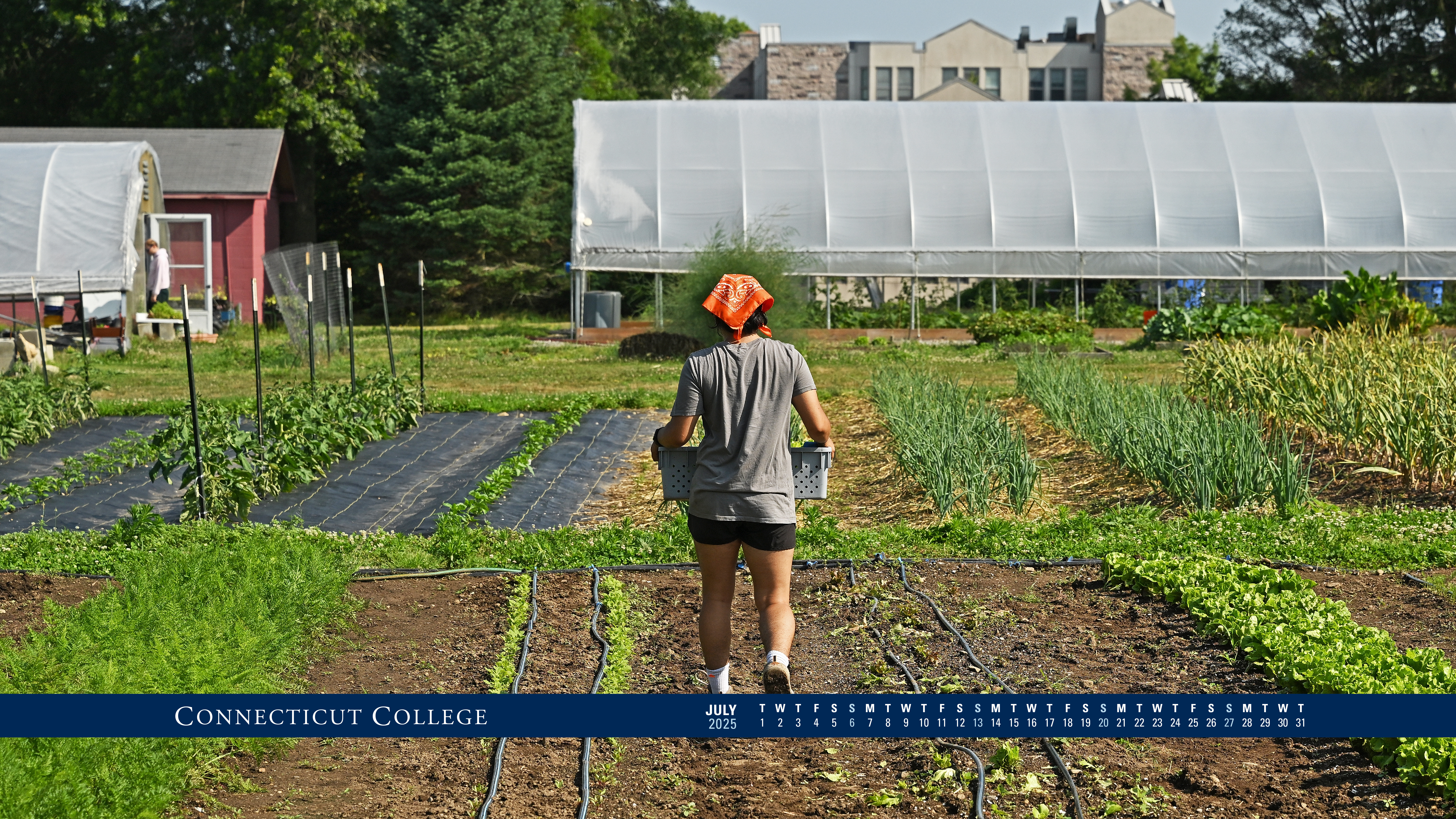 A student working in the Sprout Garden.
