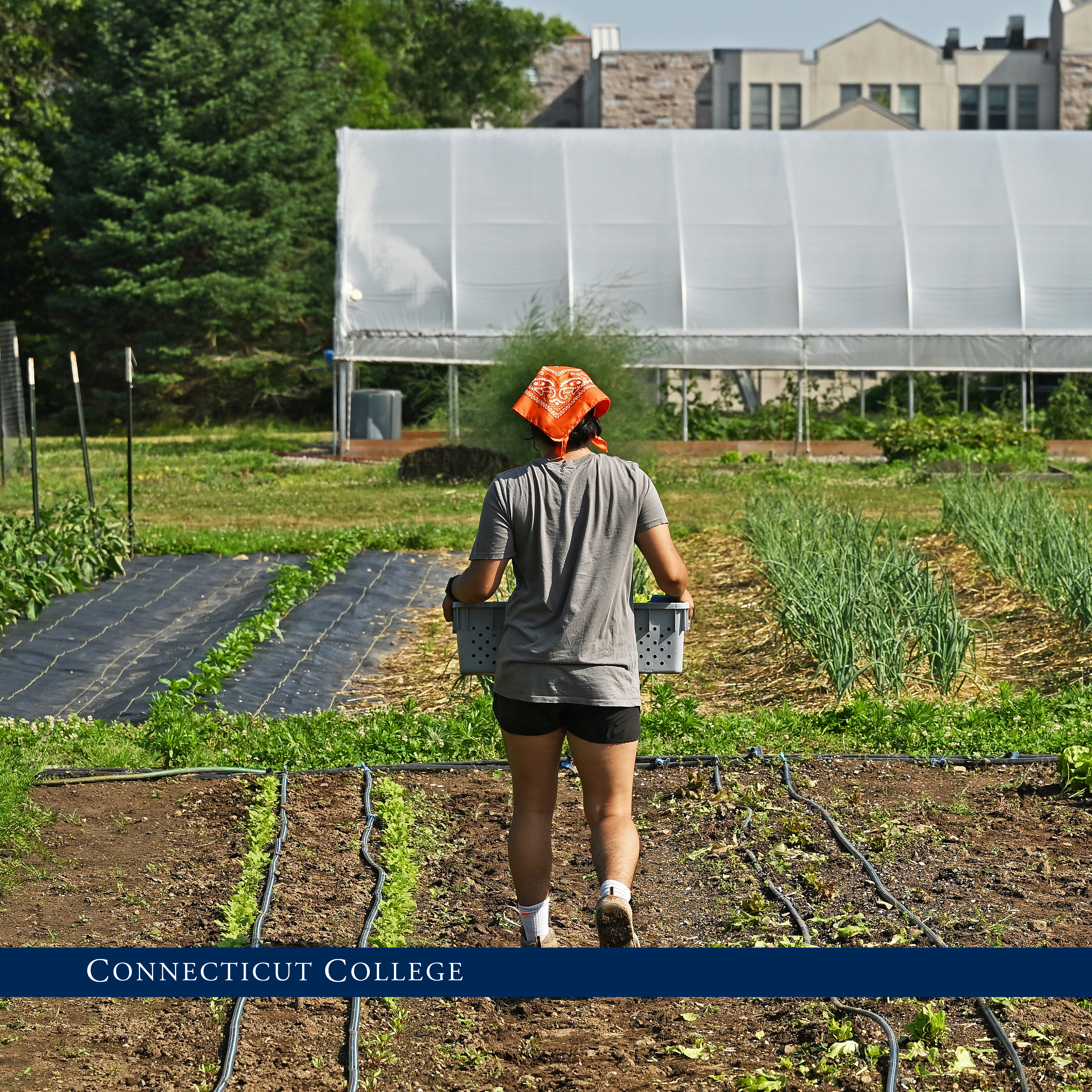 A student working in the Sprout Garden.