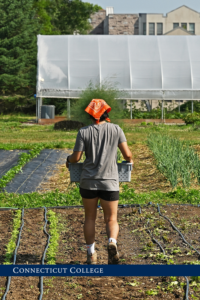 A student working in the Sprout Garden.