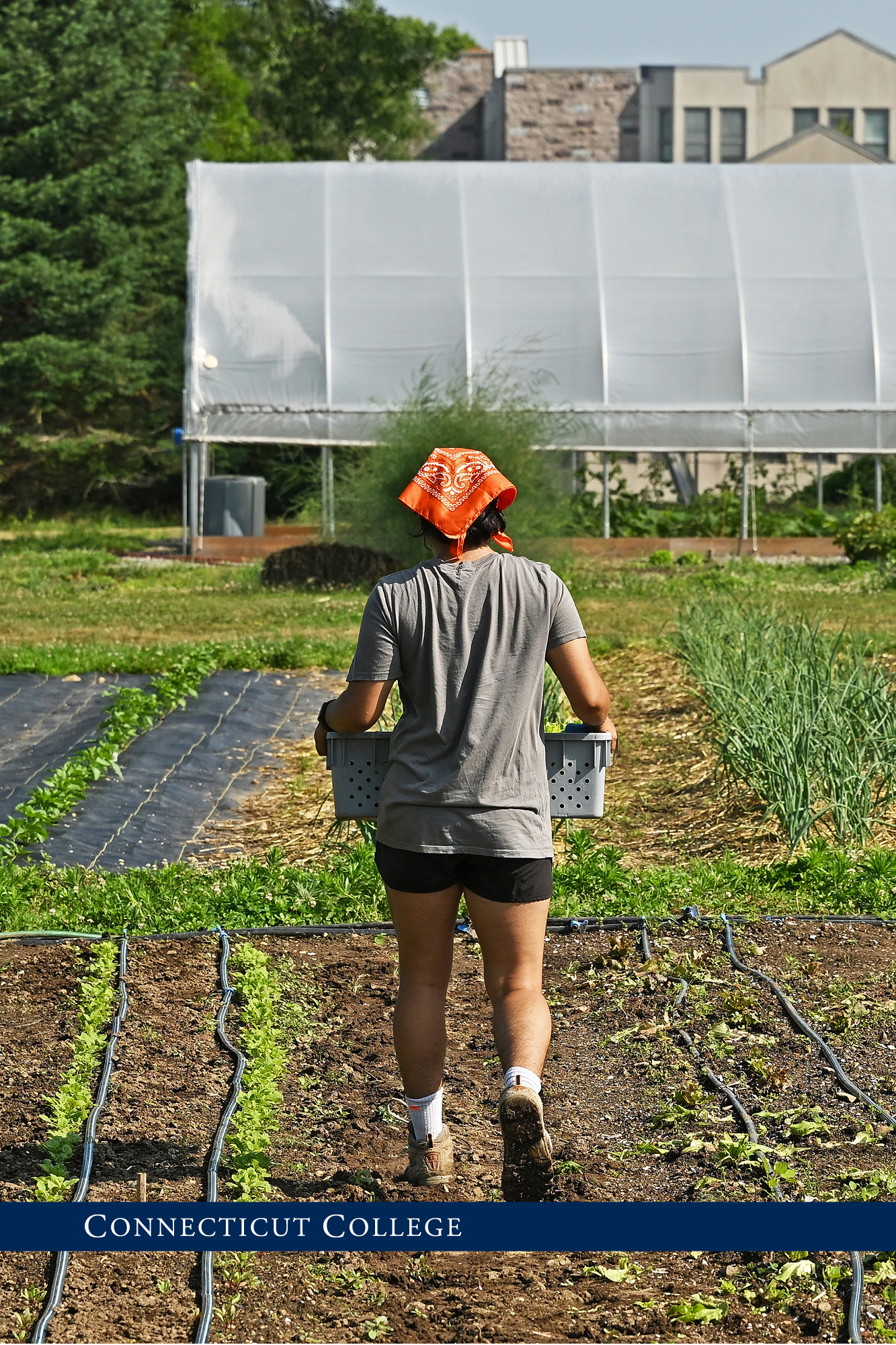 A student working in the Sprout Garden.