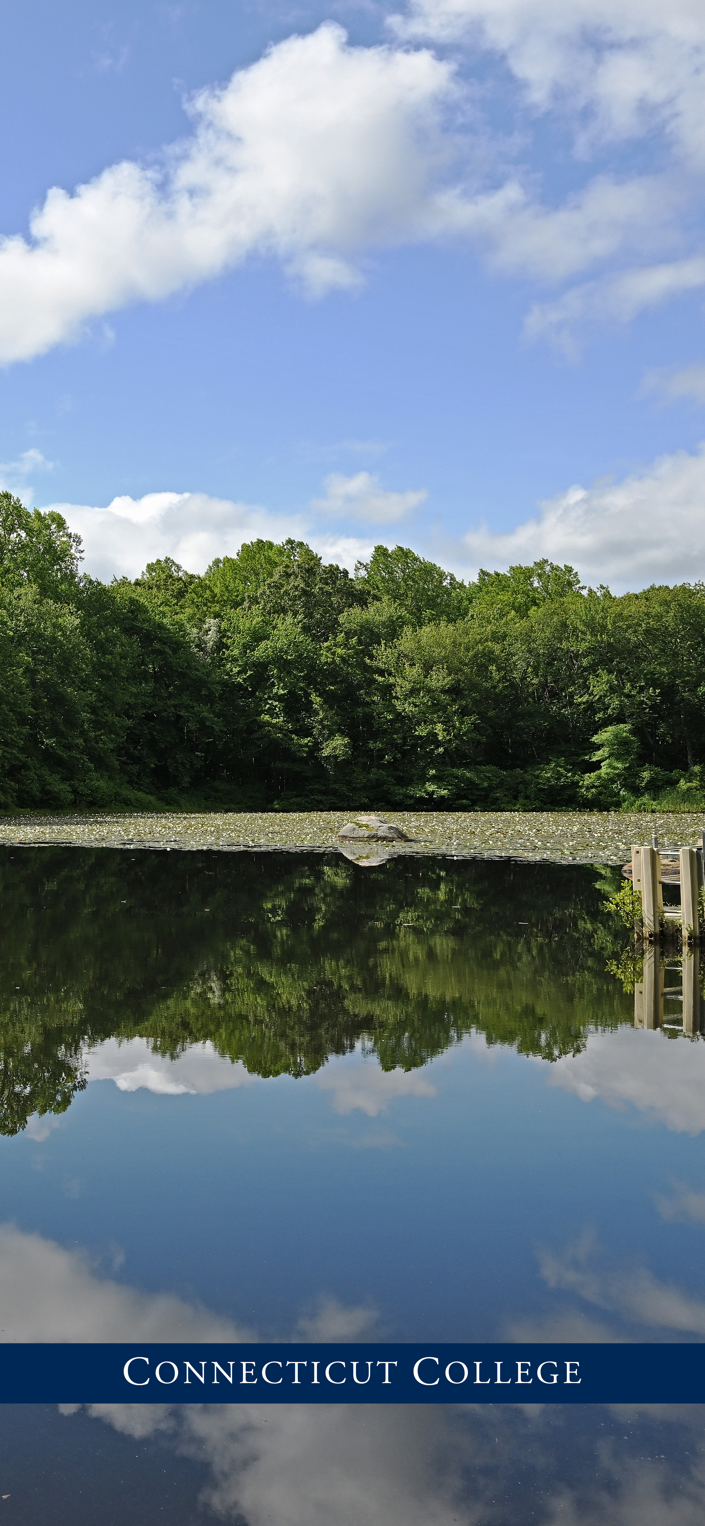 A pond on campus