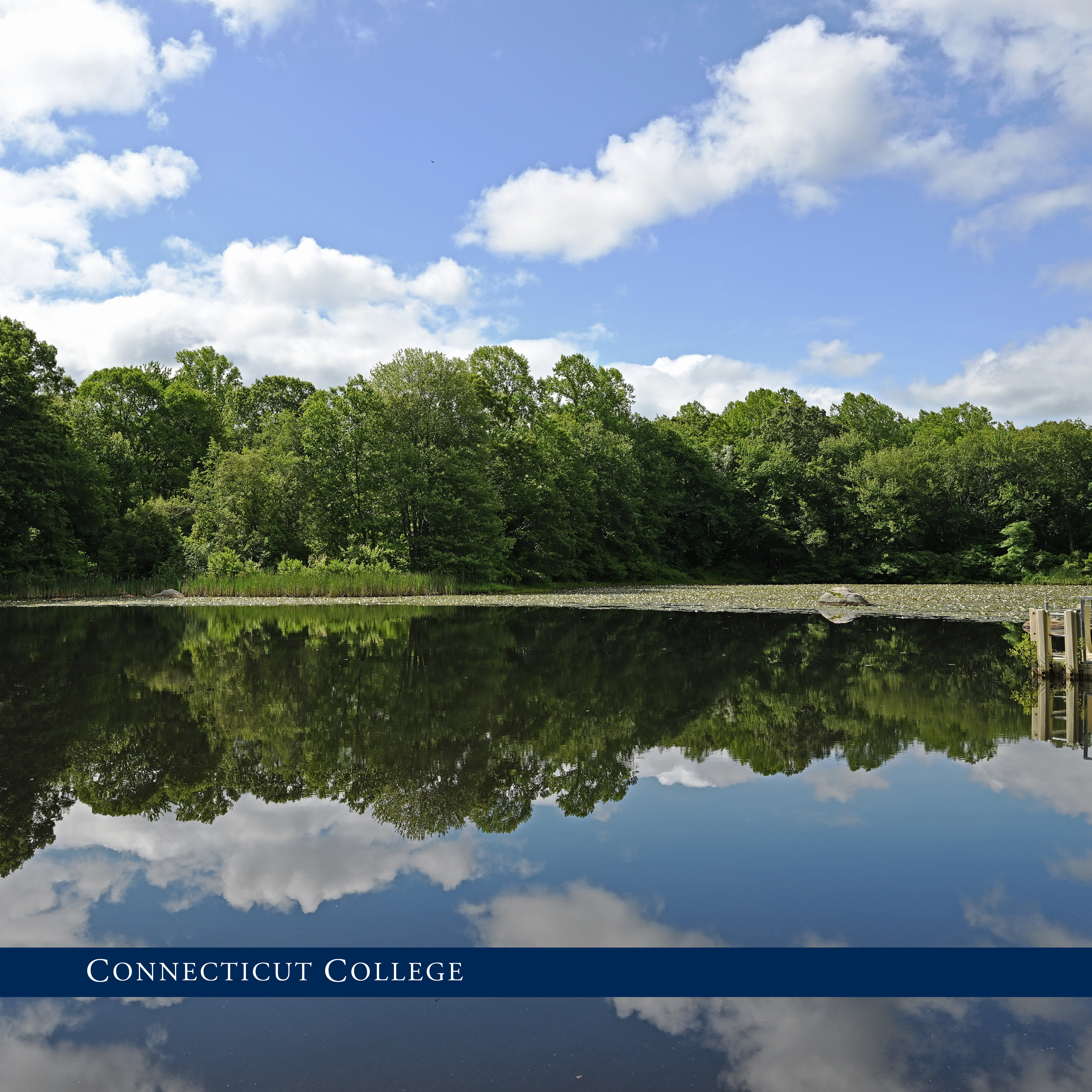 A pond on campus