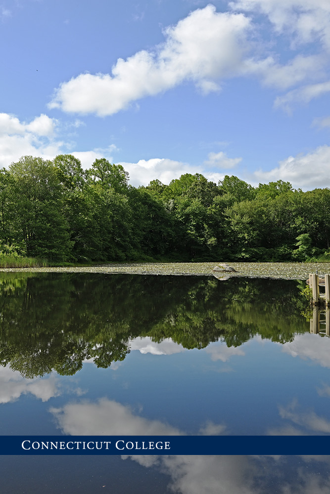 A pond on campus