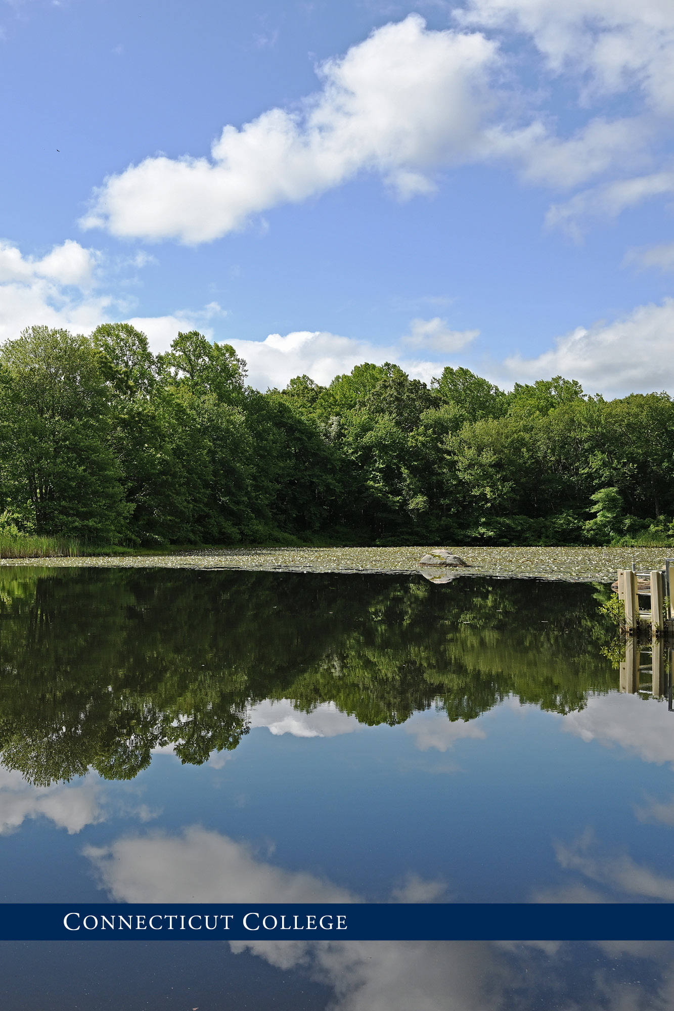 A pond on campus