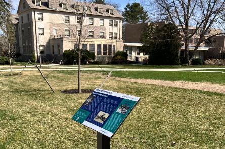 Dutch Elm Disease Resistant Tree Placard
