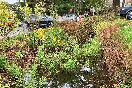 East Parking Lot Landscaping