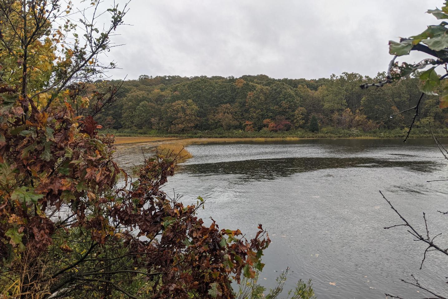 Image of flooding at Mamacoke marsh Fall 2021