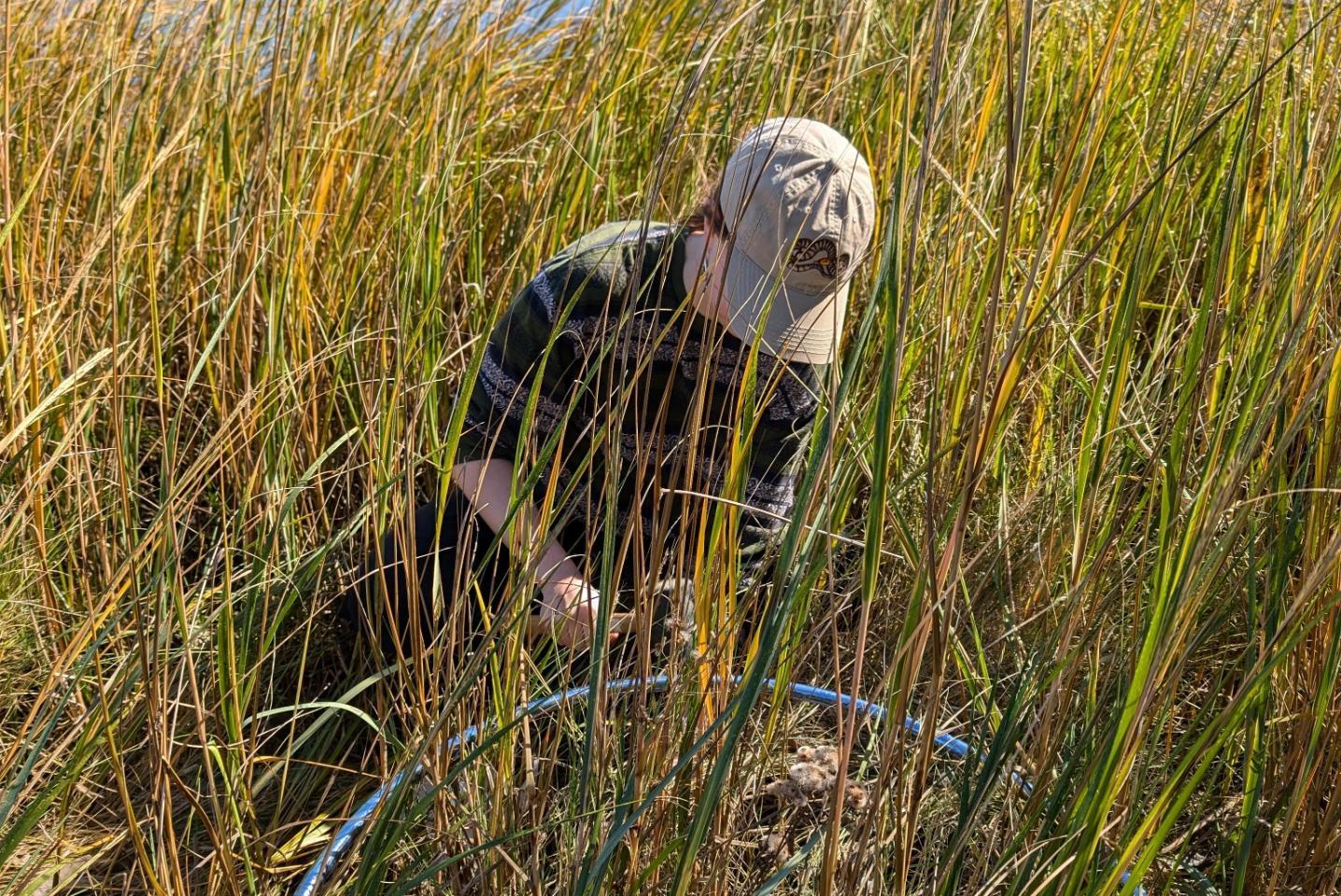 Image of Kate '25 with the sediment plates at Mamacoke.