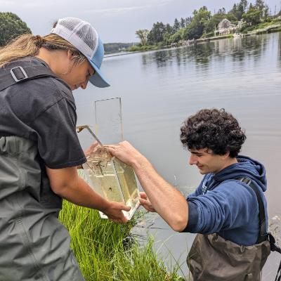 Image of Nici & Jamie sampling marsh at Mamacoke