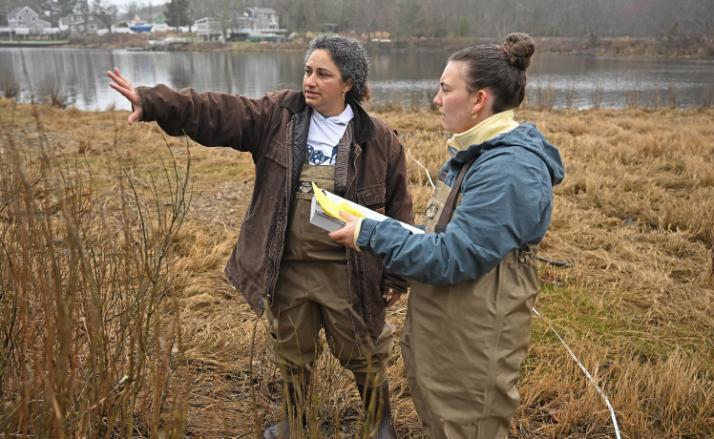 Student and professer researching in a field