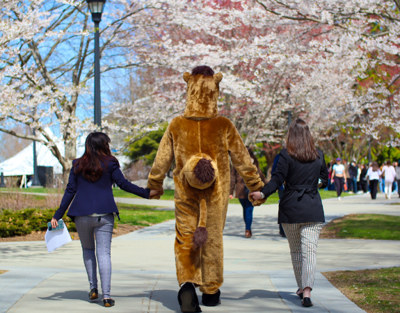 Two admission counselors walking hand-in-hand with the camel past the library.