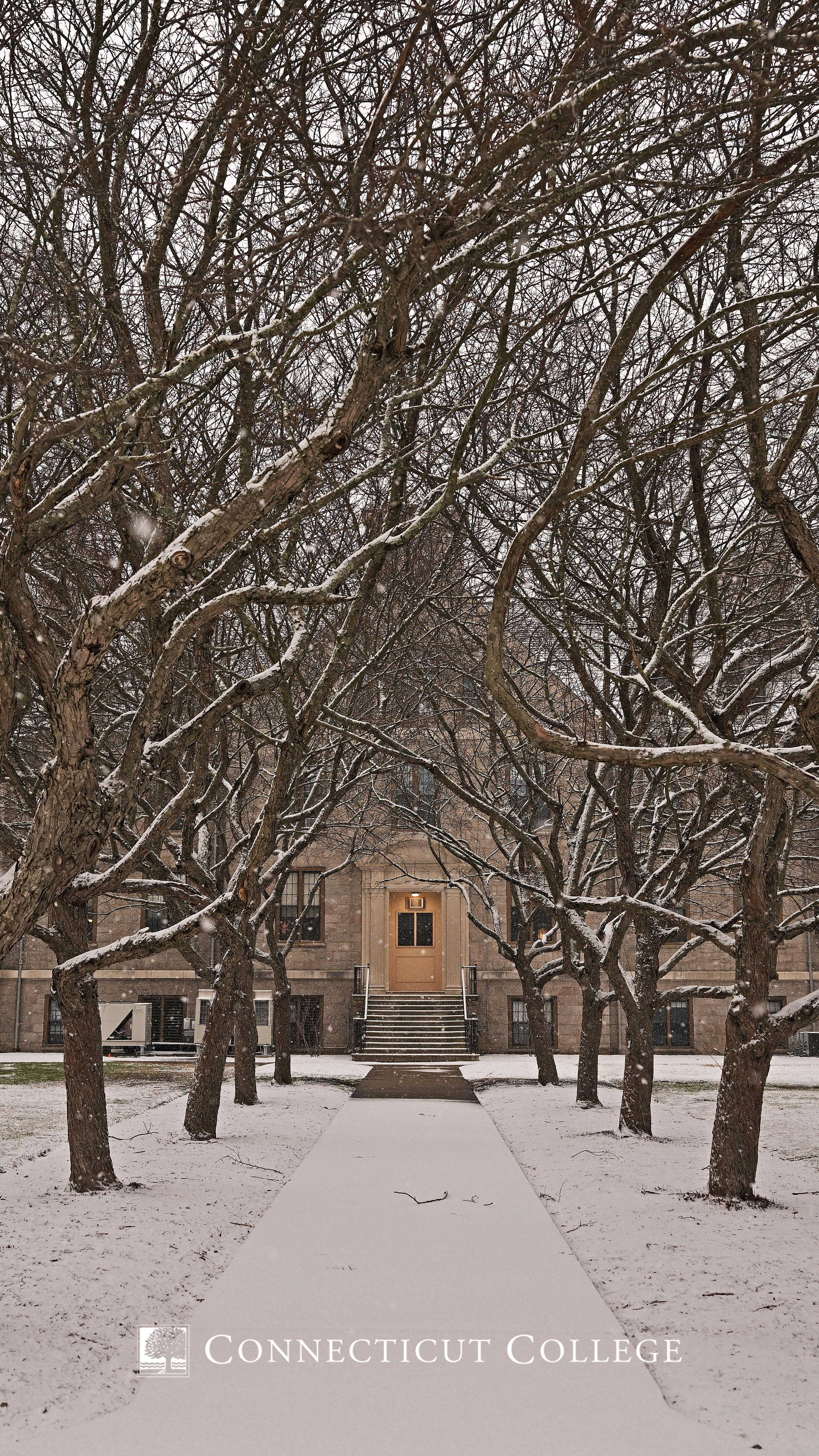 Campus in winter