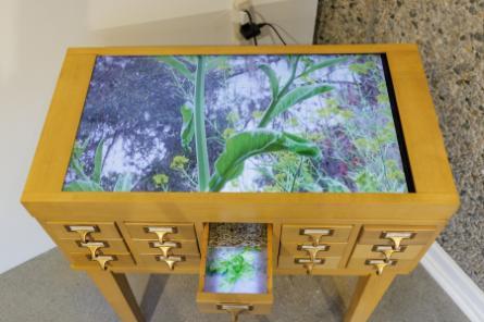 Seed Cabinet by Katerie Gladdys