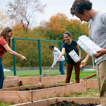 Students plant seeds in Sprout Garden. 