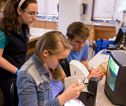 Three students study plants through a microscope. 