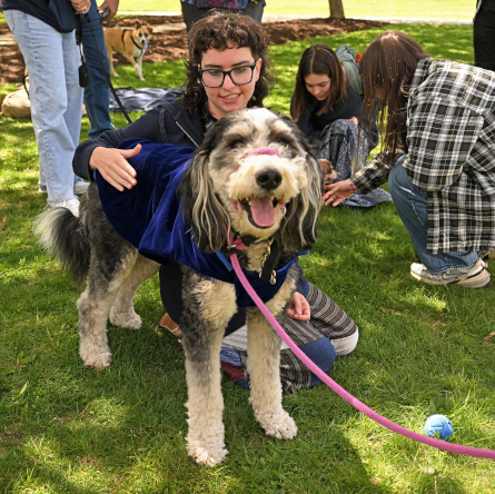 Koda hosts First Dog Day