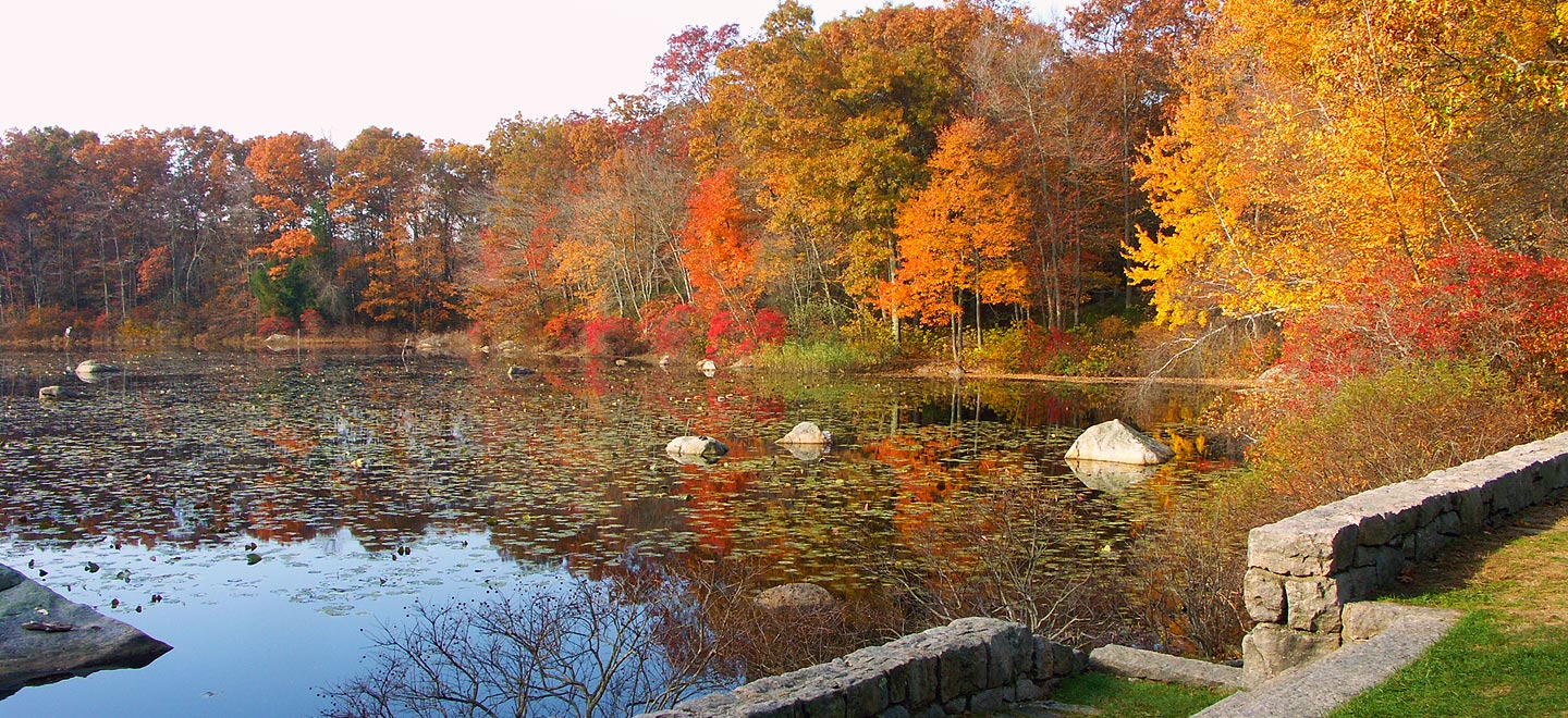 Connecticut College Arboretum