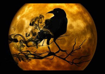 Black raven on an orange moon concert poster