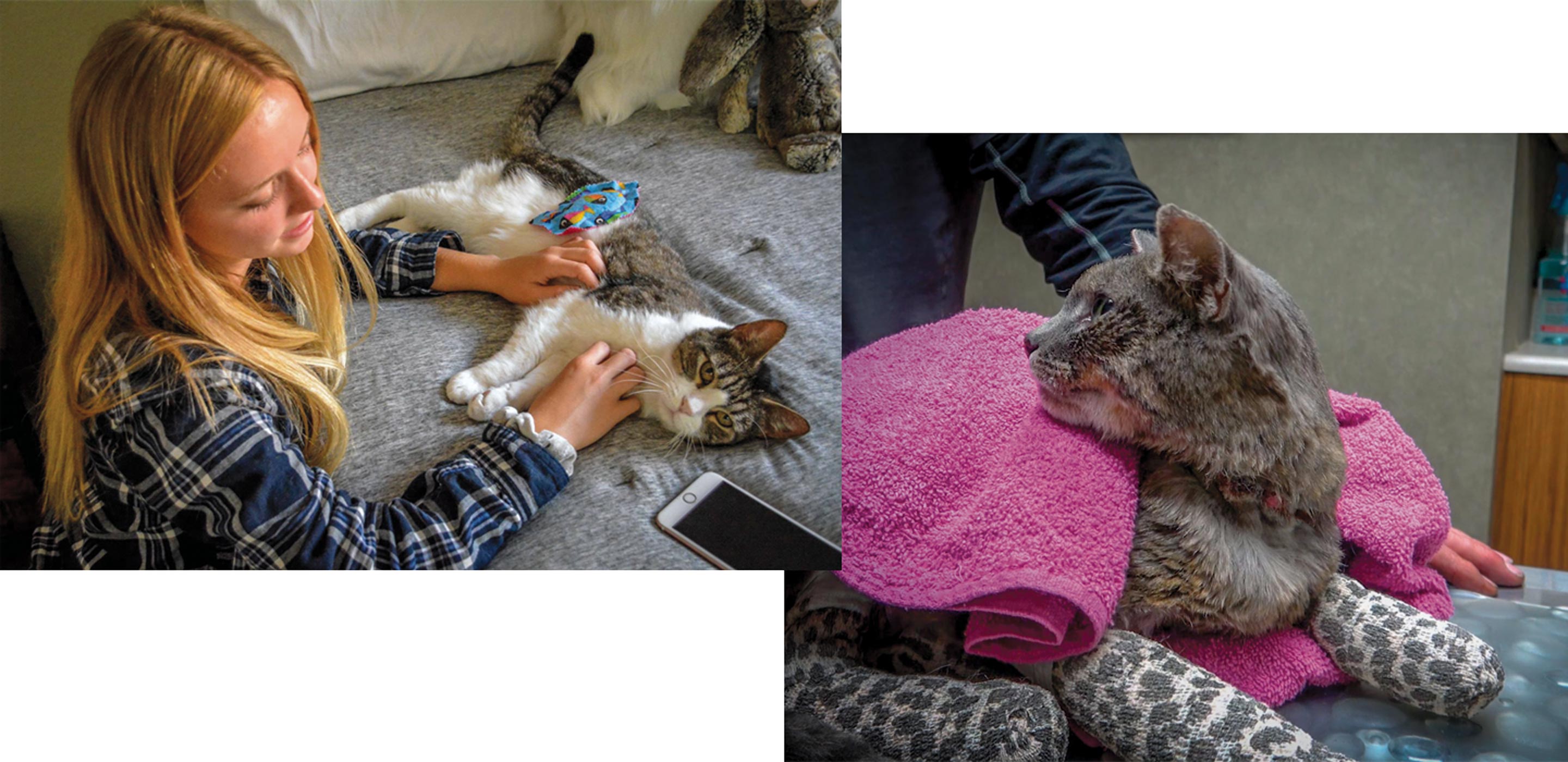 Two images of owners with their rescued cats