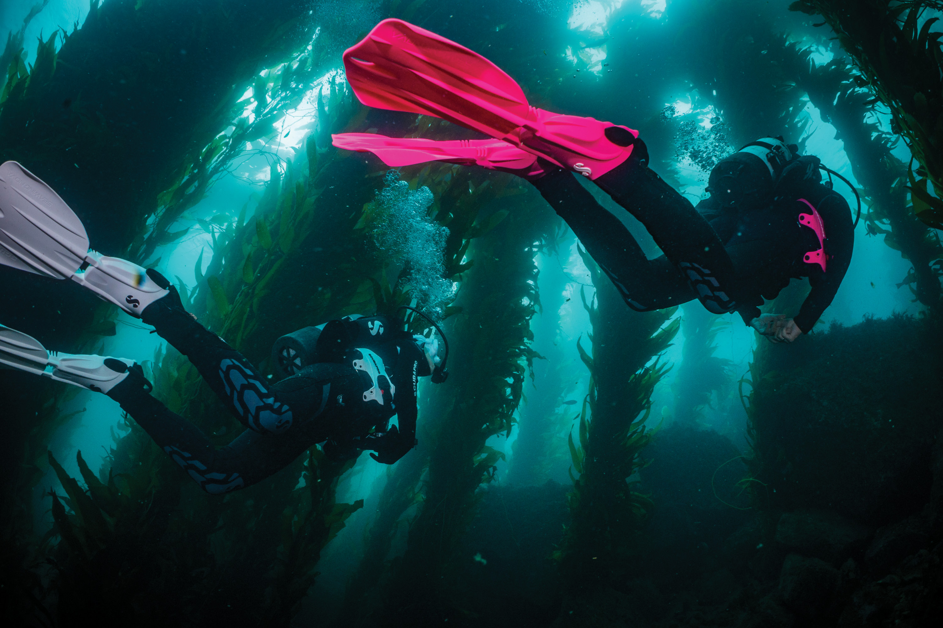 Emily Hazelwood ’11 and Jamie Sussman ’26 diving near a submerged oil rig.
