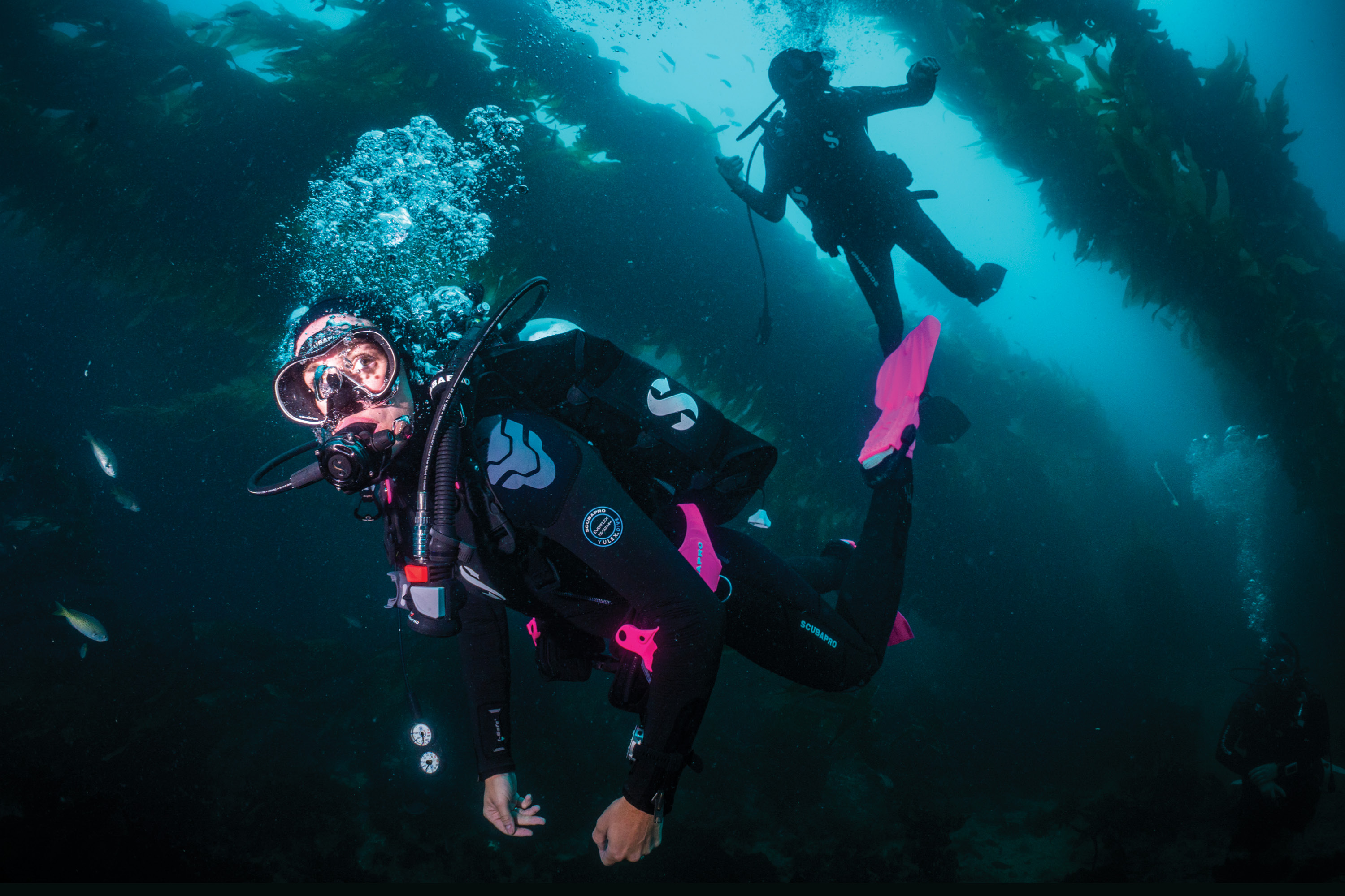 Emily Hazelwood ’11 and Jamie Sussman ’26 diving near a submerged oil rig.