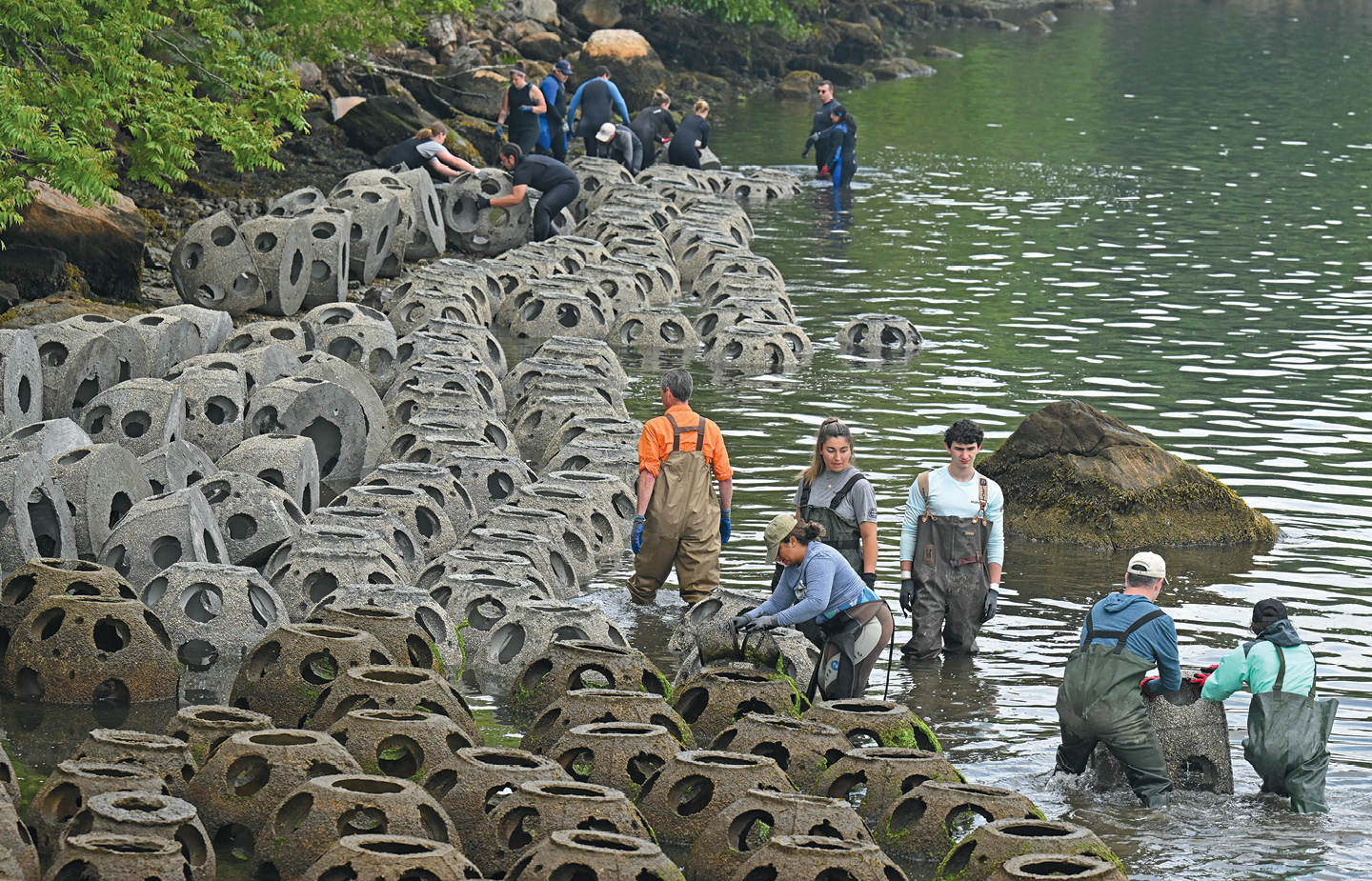 Professor Rosa and team add 80 more reef balls to Conn’s Thames River waterfront.