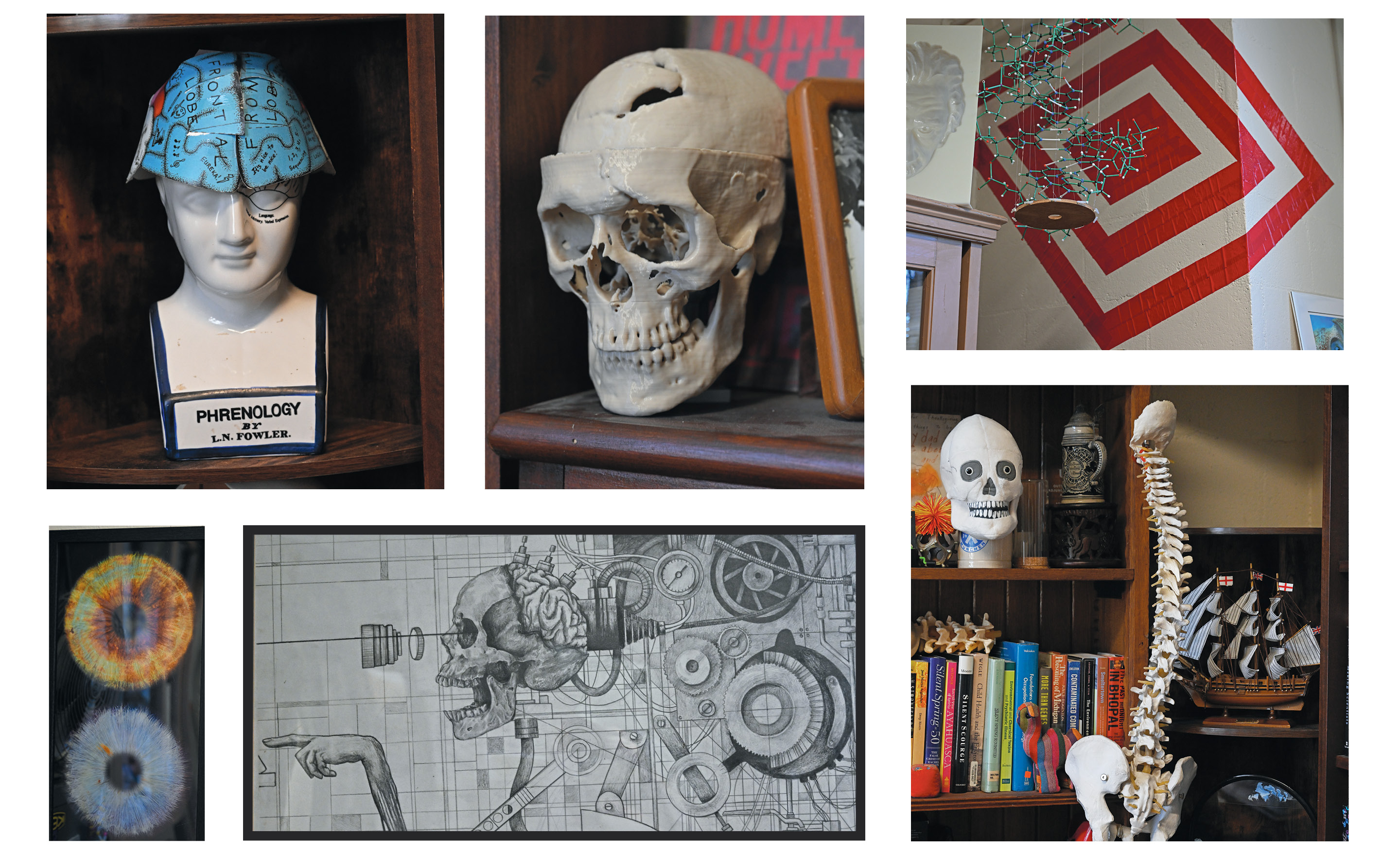 Curios from Professor of Psychology Joe Schroeder's office: skulls, art objects, and a ship model