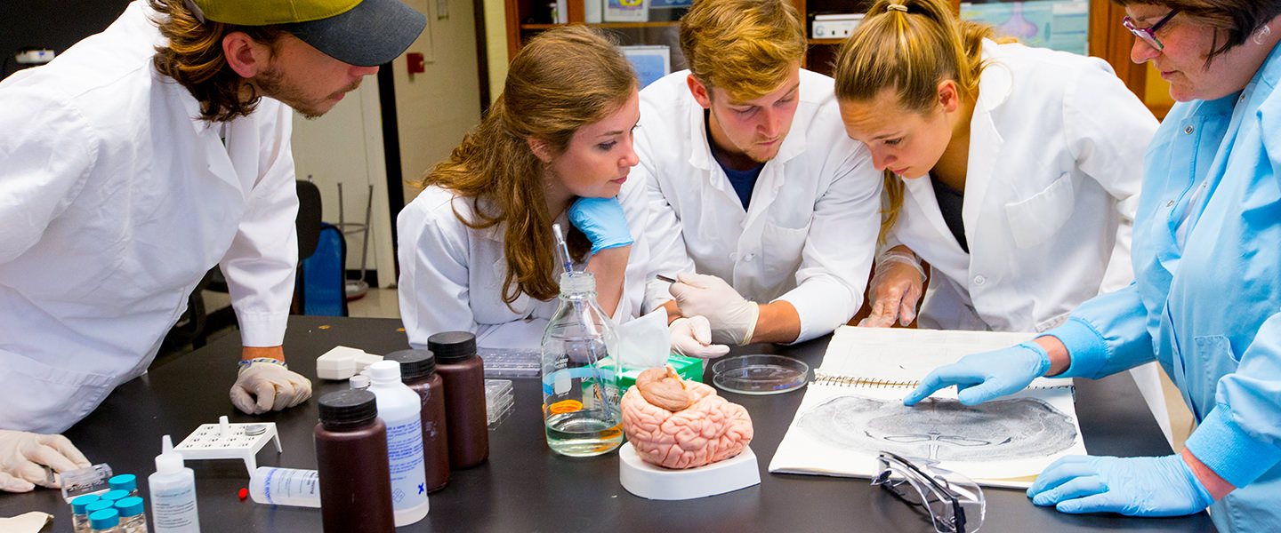 Behavioral Neuroscience · Connecticut College